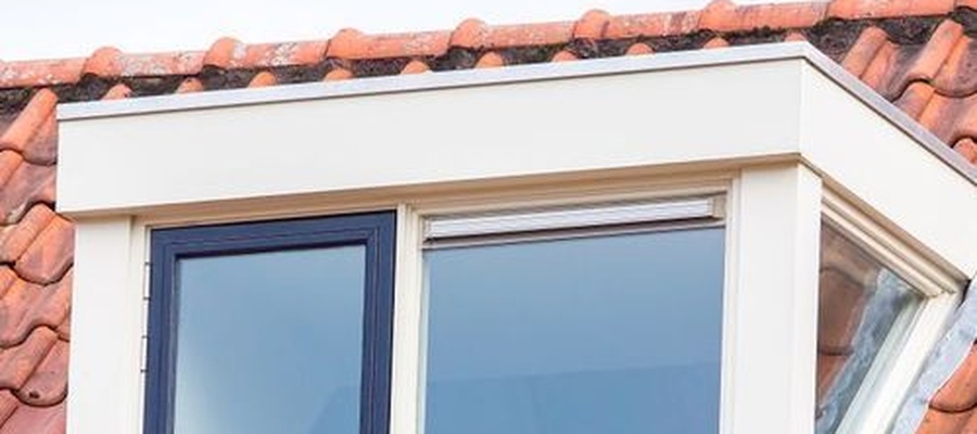 Dakinspectie uitvoering Friesland