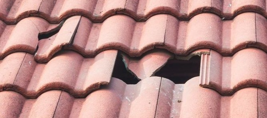 Daklekkage uitvoering Friesland